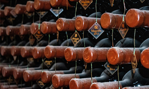 Wine Storage WINEBANC